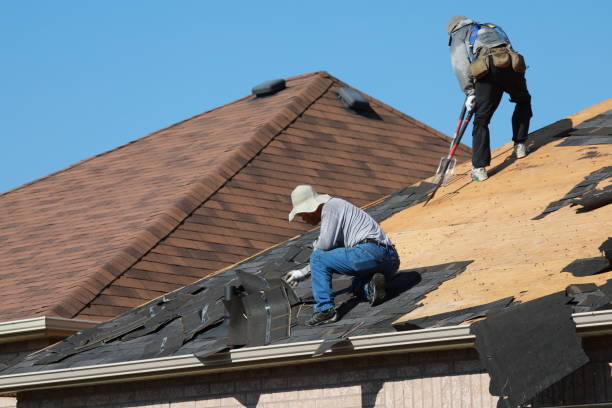 Best Roof Moss and Algae Removal  in St Augustine Beach, FL